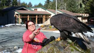 Interview with Spirit (Bald Eagle)