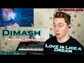 Dimash - Love is Like a Dream | Singer REACTION!!!