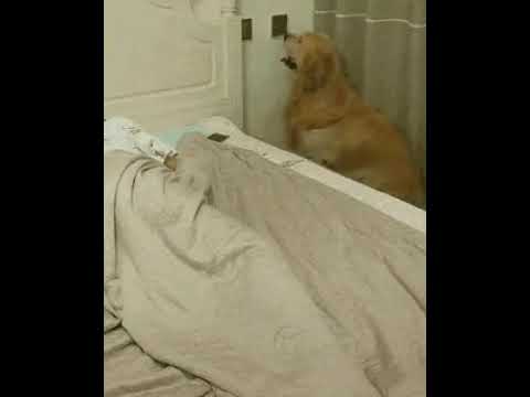 მზრუნველი მეგობარი