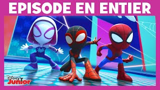 Spidey et ses amis extraordinaires - Moment magique :  La chasse aux citrouilles pourries