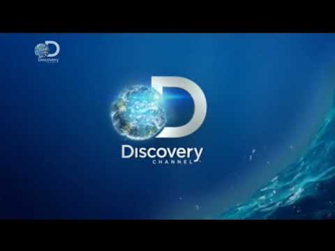 Discover id. Дискавери канал. Реклама Discovery channel. Дискавери заставка. Discovery channel логотип канала.