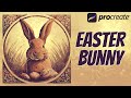 Easter bunny  procreate tutorial 176