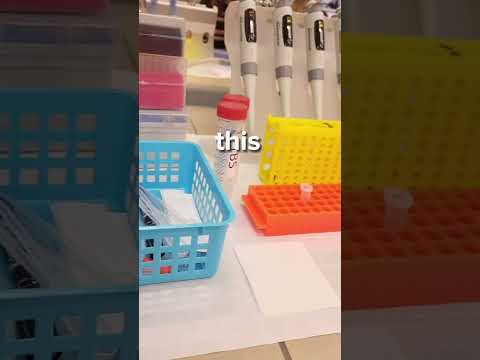 PW - Warsztaty - Przeciwciała i Antygeny - analiza dot-blot