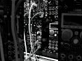 Modular Funk Bass #shorts