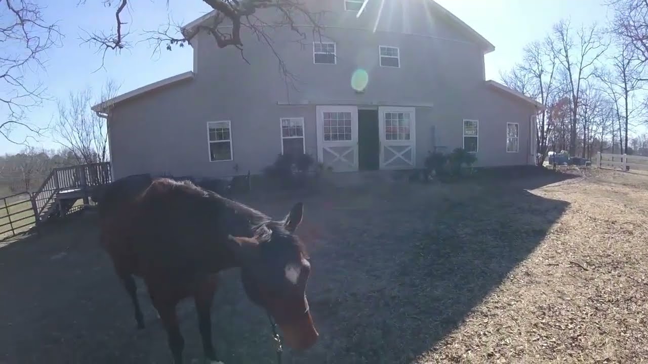 Whited  February 27th, 2026