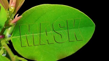 Photoshop Masking | How to use Type Mask Tool in Photoshop in Bangla