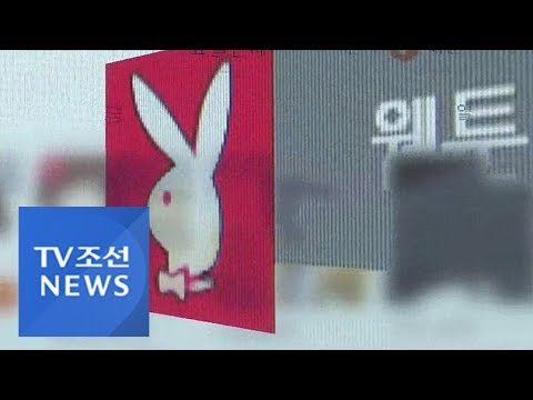 국내 최대 불법 웹툰 사이트 '밤도끼' 운영진 검거