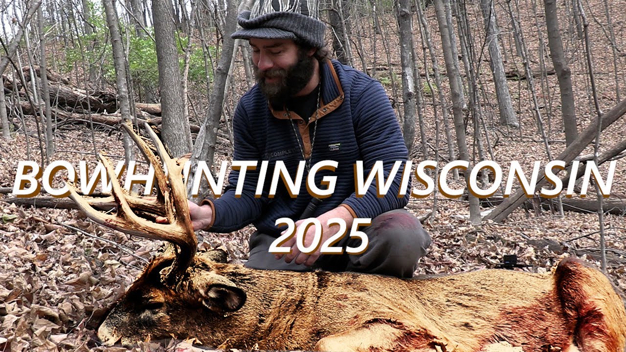 Охота с луком 2025 (первая неделя ноября, гон!)