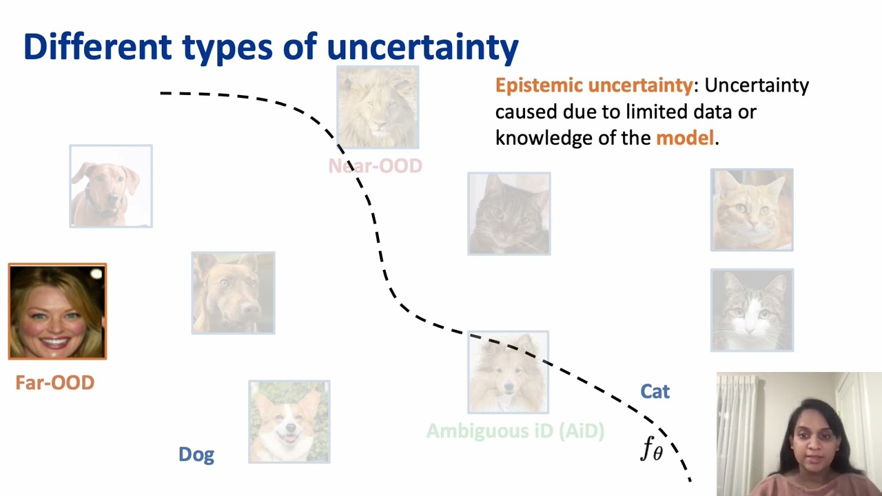 Augmentation by Counterfactual Explanation - Fixing an Overconfident Classifier