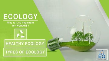 Ecology: The Future of Our Planet