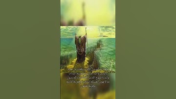 #سورة_البقرة #آیه هشتاد و هفتم #سورة #بقرة #آیات #قرآن #قرآن_كريم #قرانکریم #قرأن #ترجمه_قرآن_کریم
