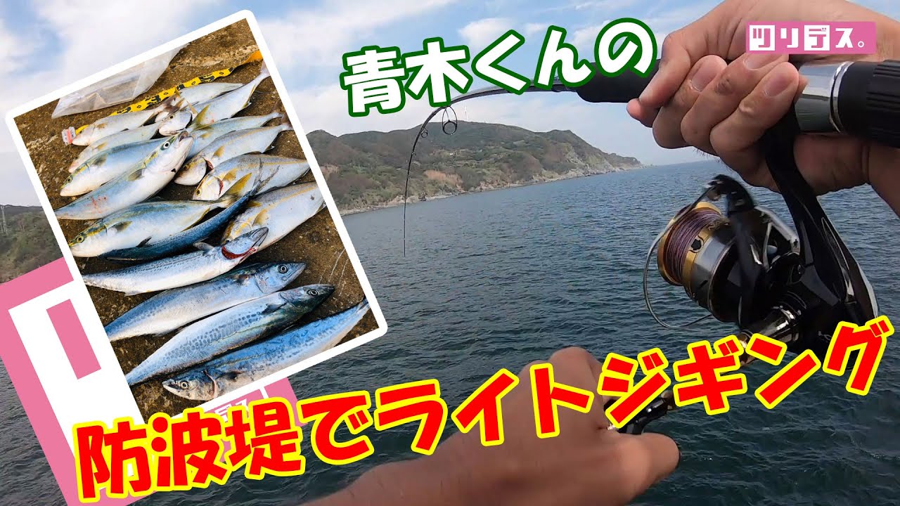 ツリデス 青木くんの防波堤でライトジギング Youtube