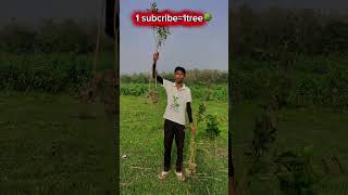 1 subscribe=1tree🌳suport please 🙏thank you so much #playstation #treeoflife #treework #playstation