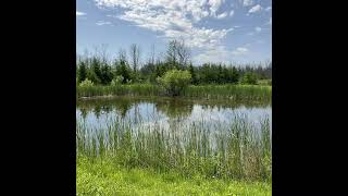 Coffee Break (5 Minutes with God) Psalm 106:11-14