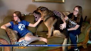 Police Dog Retires