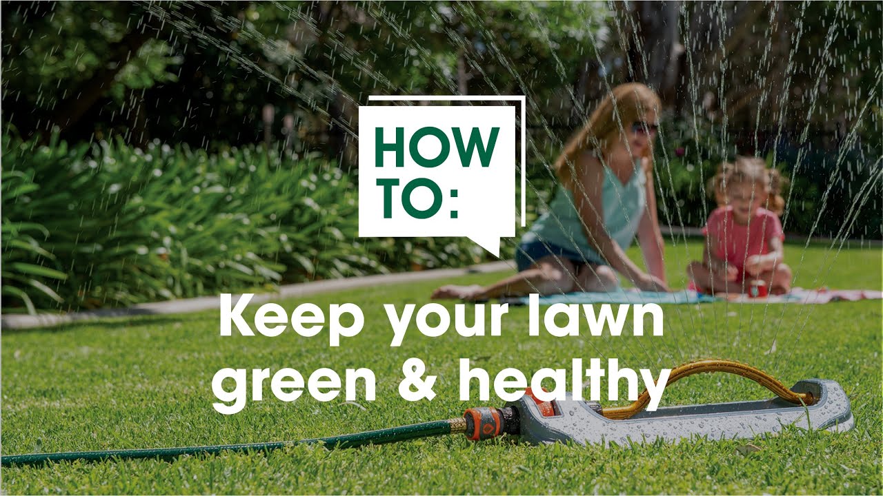 lawn-care-watering-tips-youtube