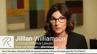 ANIMAL CRUELTY Explained By Jillian Williamson, Criminal Defence Lawyer at Ross Lutz Barristers