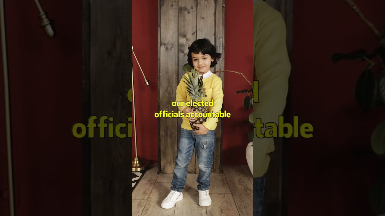 We the People: Overthrowing those who Pervert the Constitution 