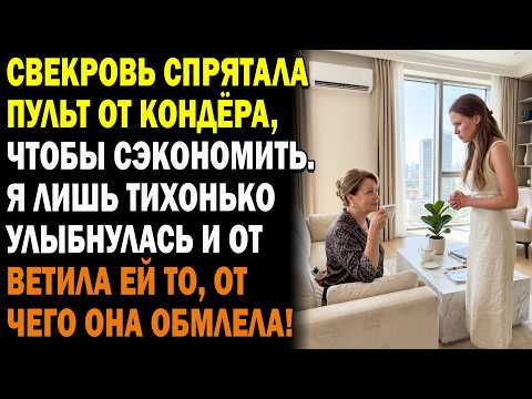 🌡️ Свекровь спрятала пульт от кондиционера: «Экономь электричество!»… Я ответила одной фразой 😶