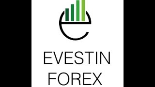 Evestin Forex Update 9 - Live Trading 7 by EAProfiler 57 views 7 years ago 6 minutes, 6 seconds