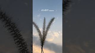 #Nee kannula#merise#roopam#naadhenaa#anukuntunna#