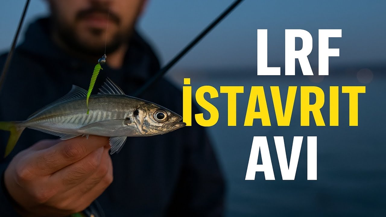 DRAGOS SAHİLDE LRF İLE İSTAVRİT AVI