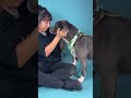 Consider donating to help this shelter dogs 🐕