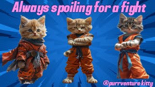 Kitten Adventures: Always Ready to Play Fight! by Purrventure Kitty 252 views 1 month ago 2 minutes, 51 seconds