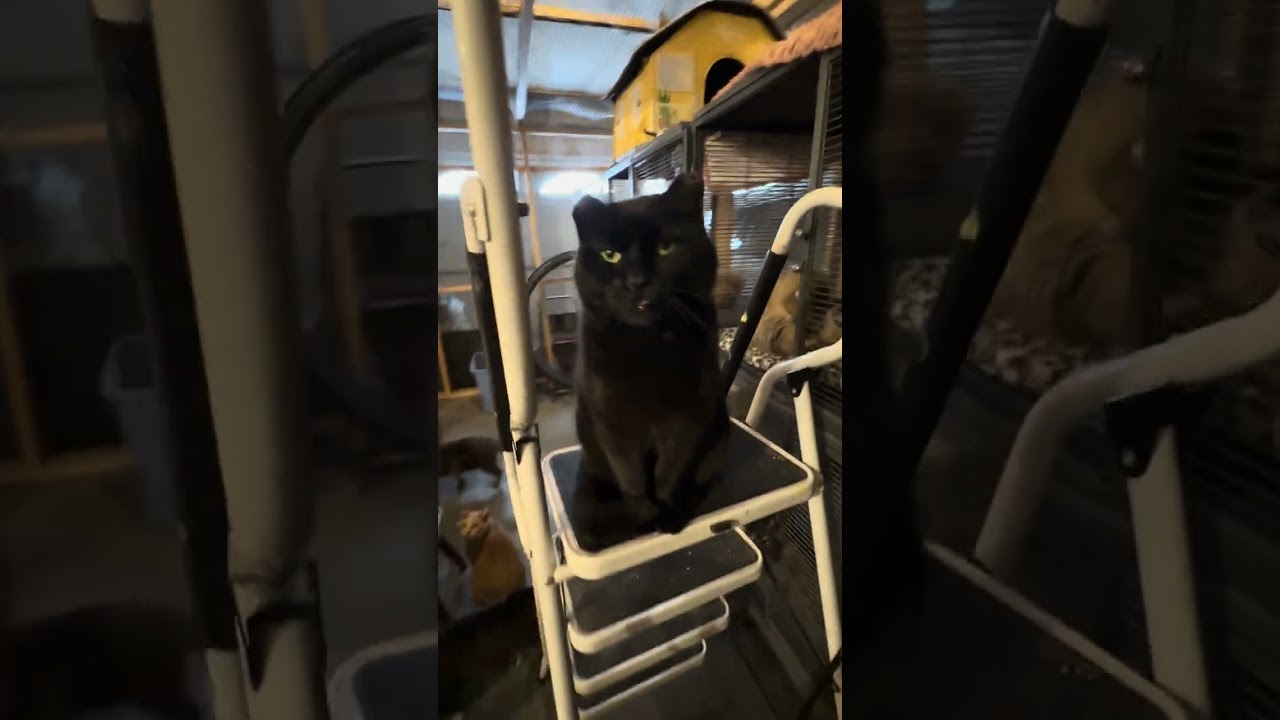 В центре внимания – Венделл