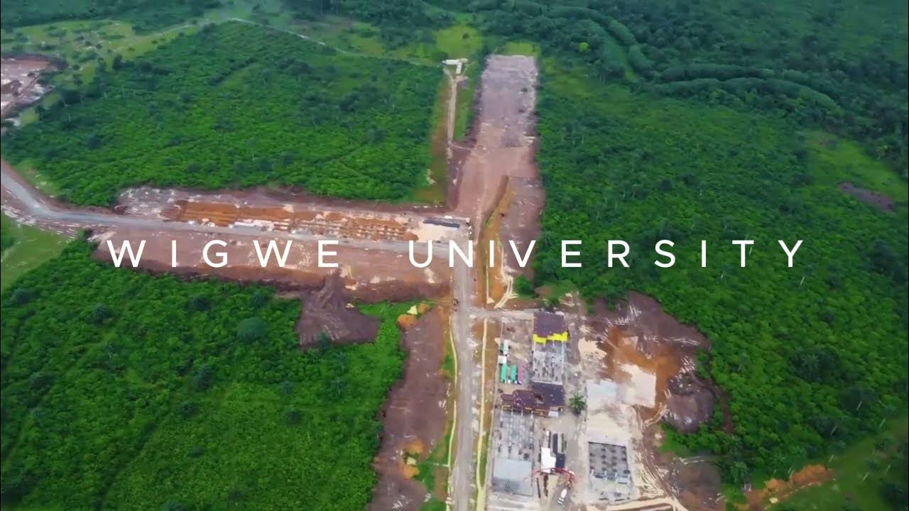 wigwe-university-is-a-breeding-ground-for-the-fearless-africa