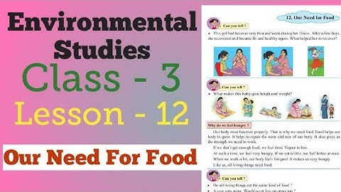 Class 3 | EVS | Lesson 12 | Our Need For Food | Explanation | Mh Board.