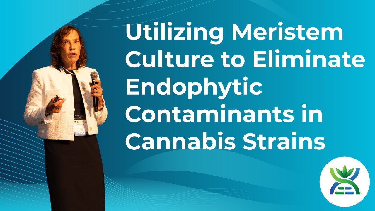 Utilizing Meristem Culture to Eliminate Endophytic Contaminants in Cannabis Strains - Dr Maria Rojas
