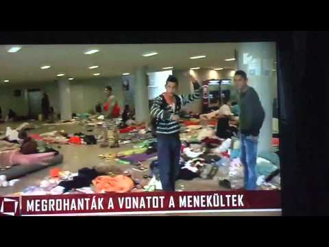 Tények 09.05.Egy "szegény migráns" üzenete a MAGYAROKNAK
