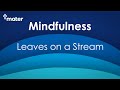 Leaves On A Stream Guided Meditation Leaves On A Stream Guided Meditation