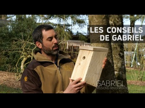 Bricole it yourself : le nichoir connecté des mésanges : Makery