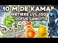 DOFUS 100% GALÈRE #1 - L’AVENTURE PEUT ENFIN COMMENCER