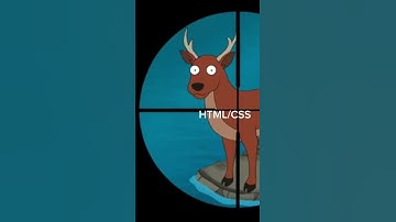 Learning Front-End Development as a Beginner #shorts #coding