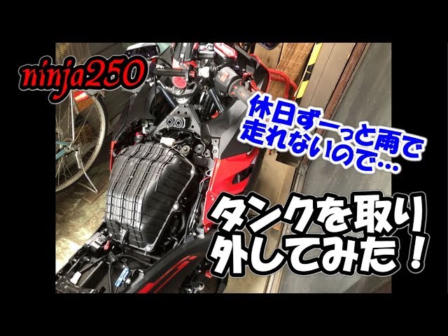 ninja250】タンクを取り外してみた！休日ずーっと雨で走れないので