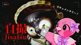 【 新作ホラーゲーム実況 / 自撮 】赤ちゃんフラミンゴ🦩のモキュメンタリ―？【 新人Vtuber / 桃野トリ / めまいパレード / Chilla's Art 】