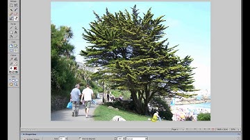 Introduction to Image Editing Using Adobe Fireworks