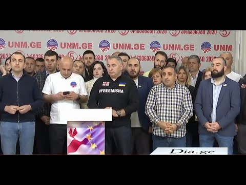 ენმ სააკაშვილის უცხოეთში სამკურნალოდ გადაყვანას მოითხოვს და აჭარაში საპროტესტო აქციებს აანონსებს