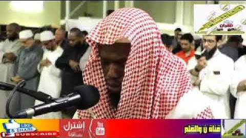yt1s com   الشيخ عكاشة كميني وتلاوة مؤثرة جدا بنبرته الخاشعة برواية رويس عن يعقوب الحضرمي لسورة الفت