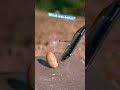 Destruction in super slow motion 🎥
