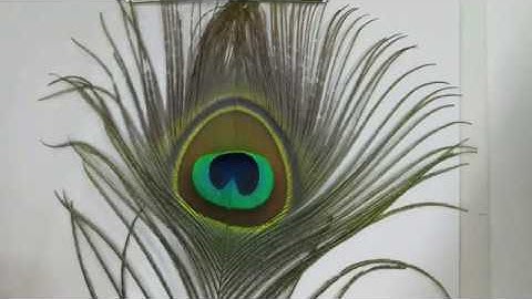 Class 12 | Inverse Circular Functions | PART -2 | SOLUTIONS | HS  CBSE  ISC  UP  others