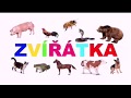 zvířátka, výukové kartičky - jak dělají zvířátka, pro malé děti a děti s PAS, zvuky zvířátek, česky