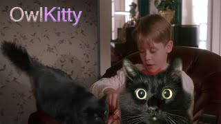 Трейлер фильма Один Дома с котом Owlkitty (пародия) / Home Alone with OwlKitty