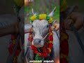 ❤காதல் கடிதம் தீட்டவே மேகம்✨ எல்லாம்காகிதம் #jallikattu #loveぉ꯭𑂞ത𐤪ꩢ᭄ᰈᮀ། ꯭꯭ぉ꯭𑂞ཉ᪑ᰈᮀ། 💙SengaiSriEditz..