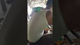 PT MEGA SAWINDO PERKASA !!! Produksi