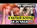 ИЗ ЧЕРНОГО В БЕЛЫЙ БЛОНД ЗА 24 ЧАСА - РЕАКЦИЯ ПАРИКМАХЕРА