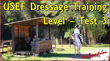 USEF Training Level - Test 3